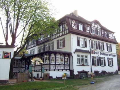 Foto: Zur K&amp;ouml;ppe